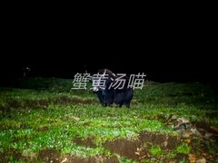 -灵山