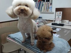 -宠颐生宠物医院·心肾内科·猫专科诊疗中心宠巢店