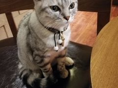 -H立方实景剧情密室(天河旗舰店)