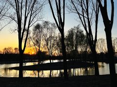 -东郊湿地公园