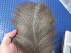 -瑞鹏宠物医院华南总院·夜诊·心脏科·骨科