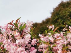 -东山风景区(洞庭东山)