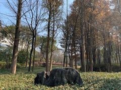 -宝界山林公园