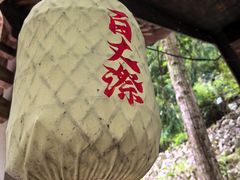 -刘伯温故里景区百丈漈