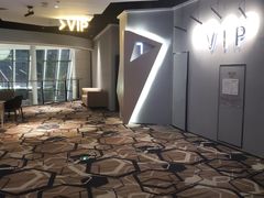 -星河寰宇IMAX影城(星河WORLD·COCO Park店)