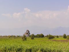 -野鸭湖国家湿地公园