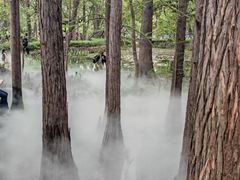 -东湖落雁景区