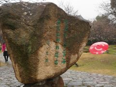 -香雪海