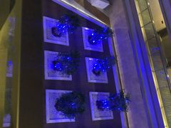 -南京禄口机场雅高铂尔曼大酒店