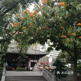 礼佛光孝寺，许愿最灵