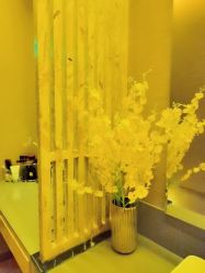 -栖SPA·ONDA ·海菲秀·皑皑科技美肤中心