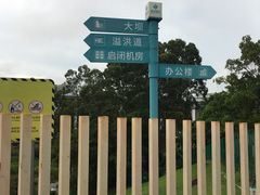 -阳台山森林公园
