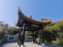 -野狸岛