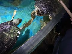 -多彩贵州城极地海洋世界