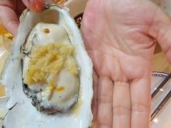 -土蚝·高压锅生蚝(百姓美食街店)