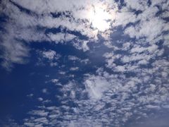 -五营红松林海景区