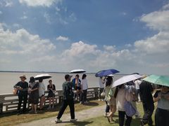 -观潮胜地公园