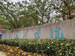 -黄桷坪涂鸦艺术街