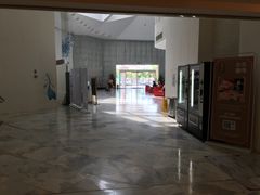 -深圳东部华侨城瀑布酒店