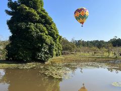 -中国科学院西双版纳热带植物园