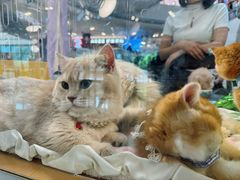 -百联川沙购物中心