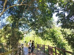 -野象谷景区