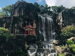 -金鸡山公园