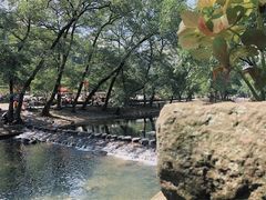 -鹿亭中村