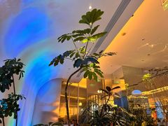 -桂满陇(虹桥天地店)