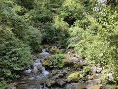 -鹿院坪生态旅游景区