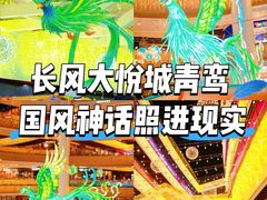 -上海长风大悦城