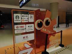 -上海浦东国际机场-T2航站楼