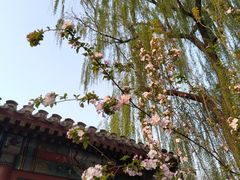 -海棠花溪(元大都城垣遗址公园)