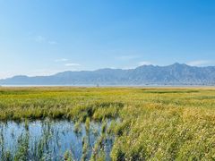 -野鸭湖国家湿地公园