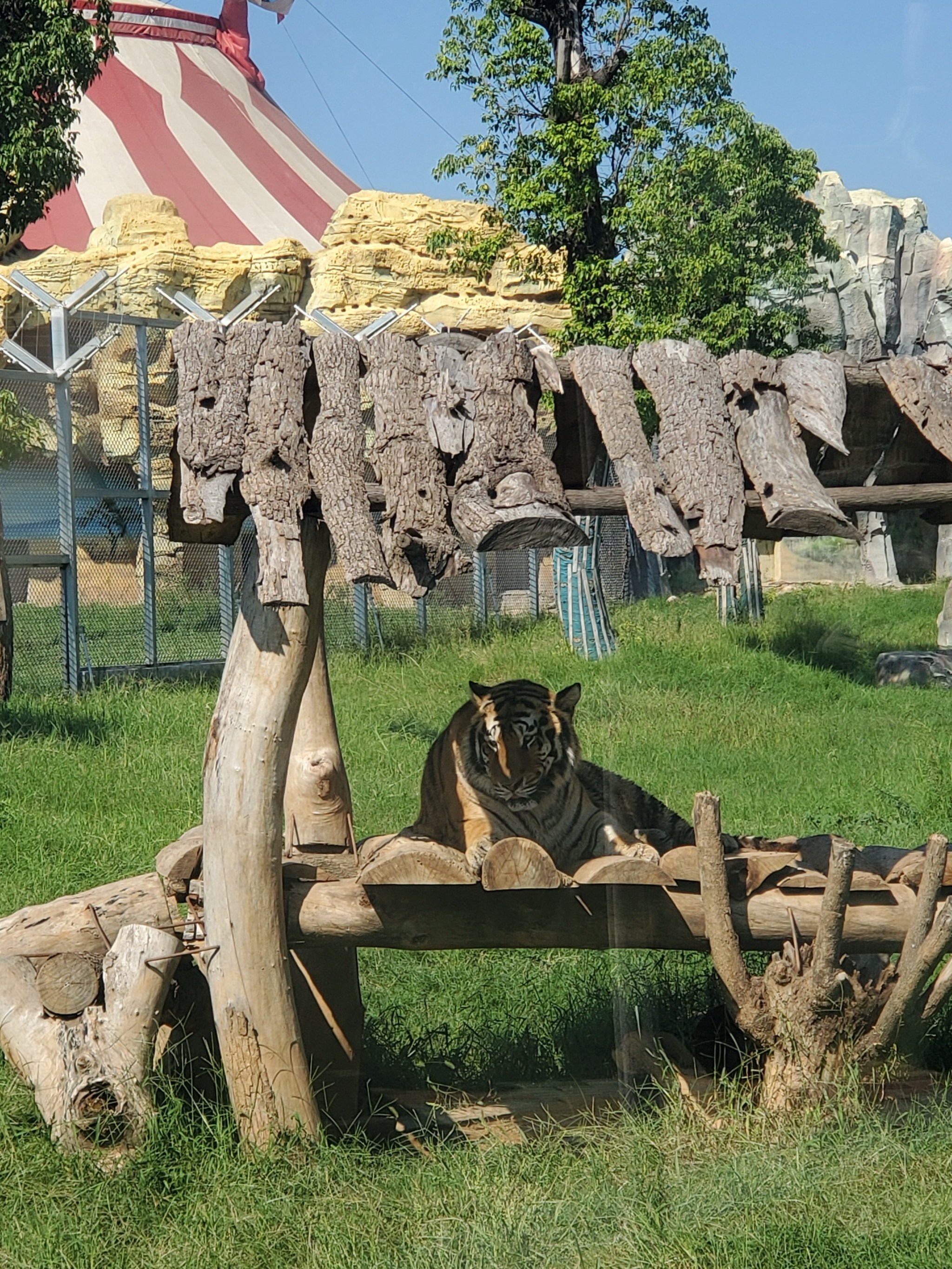 南阳野生动物园