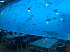 -瑞德姆美人鱼海底演艺主题餐厅(亚龙湾店)