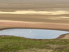 -鄱阳湖国家湿地公园
