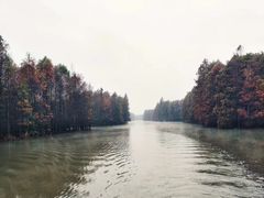 -上海海湾国家森林公园