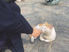 -长春观