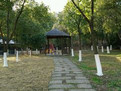 android_upload_pic-我家农庄