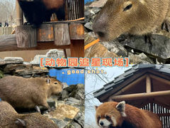 -北京野生动物园