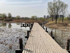 -马家湾湿地公园