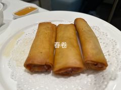 -张生记(丁香国际店)