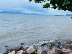 -深圳湾公园(南山区)