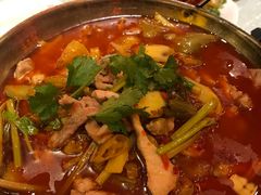 -陈麻婆豆腐总店