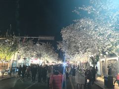 -石家庄市植物园