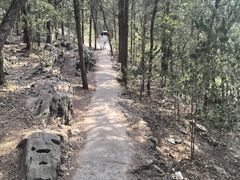 -云龙山