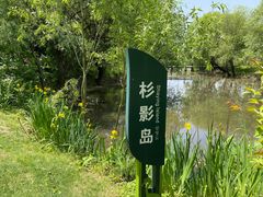-长兴太湖图影湿地文化园