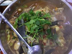 -全乐鱼馆·淳牌有机鱼直营店