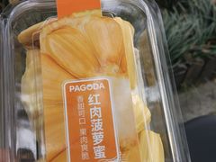 -PAGODA百果园(苏州金门路店)